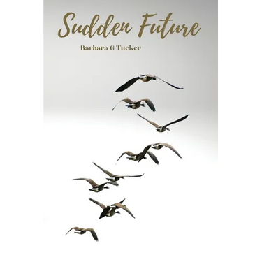 Sudden Future