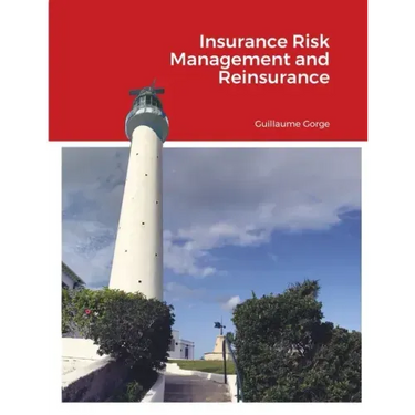 Insurance Risk Management and Reinsurance