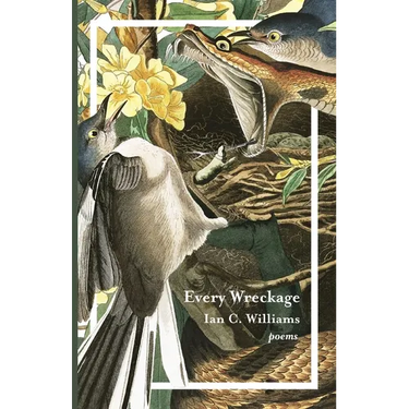 Every Wreckage: Poems