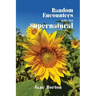 Random Encounters with the Supernatural
