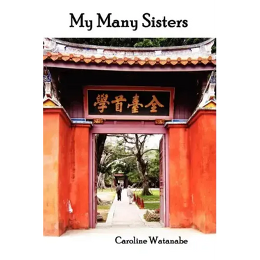 My Many Sisters, the Journal of a Volunteer with the Daughters of Charity