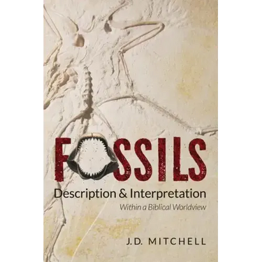 Fossils: Description & Interpretation: Within a Biblical Worldview