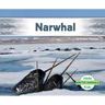 Narwhal