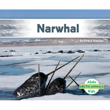 Narwhal
