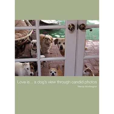 Love is...a dog's view through candid photos