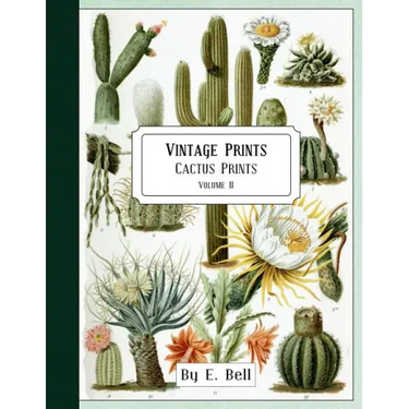 Vintage Prints: Cactus Prints