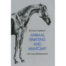 Animal Painting and Anatomy