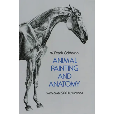 Animal Painting and Anatomy