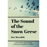 The Sound of the Snow Geese