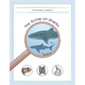 The Scoop on Sharks