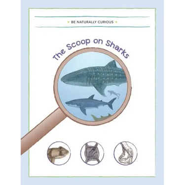 The Scoop on Sharks