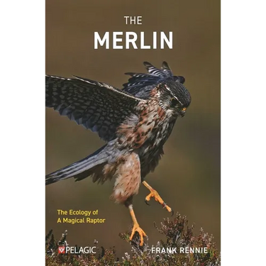 The Merlin: The Ecology of a Magical Raptor