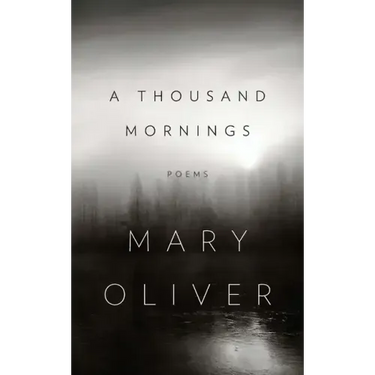 A Thousand Mornings
