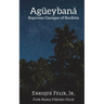 Agueybana: Supreme Cacique of Boriken