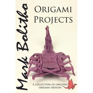 Origami Projects: A collection of original origami designs