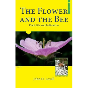 The Flower and the Bee