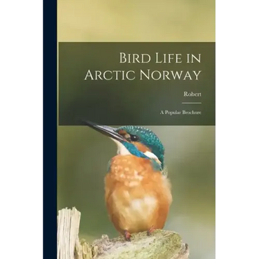 Bird Life in Arctic Norway: A Popular Brochure