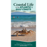 Coastal Life of the Atlantic and Gulf Coasts: Easily Identify Seashells, Beachcombing Finds, and Iconic Animals