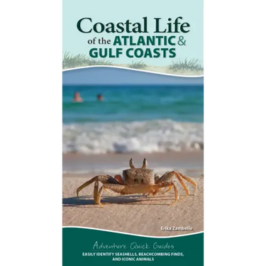 Coastal Life of the Atlantic and Gulf Coasts: Easily Identify Seashells, Beachcombing Finds, and Iconic Animals