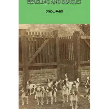 Beagling and Beagles