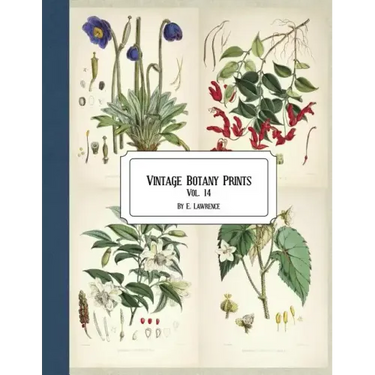 Vintage Botany Prints: Vol. 14