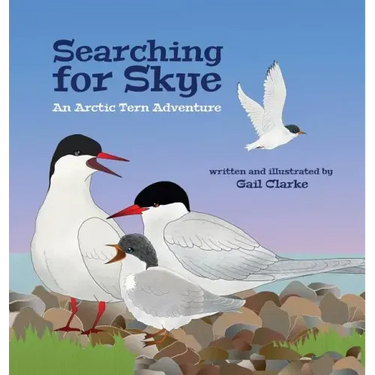 Searching for Skye: An Arctic Tern Adventure