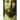 Historical Christ and the Theological Jesus