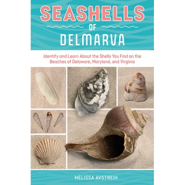Seashells of Delmarva: Identify and Learn about the Shells You Find on the Beaches of Delaware, Maryland, and Virginia