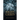 Night Creeps: An Adult Horror Story