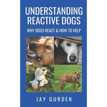 Understanding Reactive Dogs: Why Dogs React and How to Help