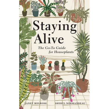 Staying Alive: The Go-To Guide for Houseplants
