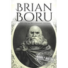 Brian Boru: A Life from Beginning to End