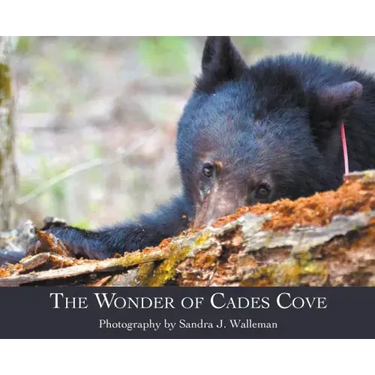 The Wonder of Cades Cove