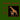 Animali, Amimals