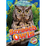 Screech Owls