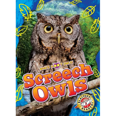 Screech Owls