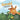 Gerald The Giraffe