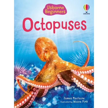 Beginners Octopuses