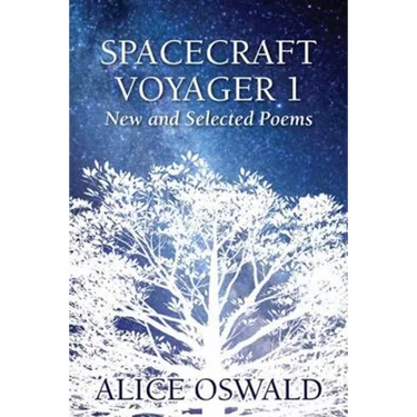 Spacecraft Voyager 1: New and Selected Poems