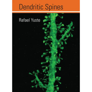 Dendritic Spines