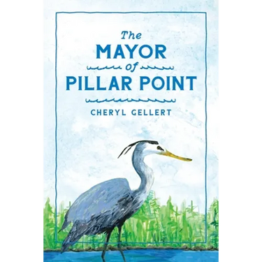 The Mayor of Pillar Point: The Flood of 2017