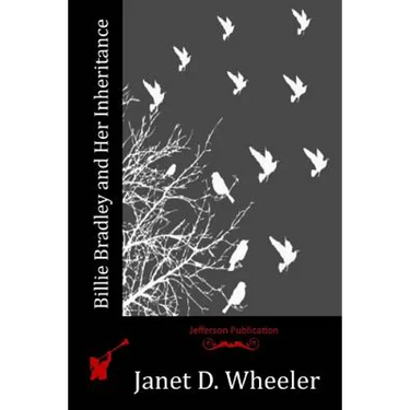 Billie Bradley and Her Inheritance