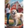Sunshine in the Storm: Book One