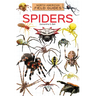 Spiders