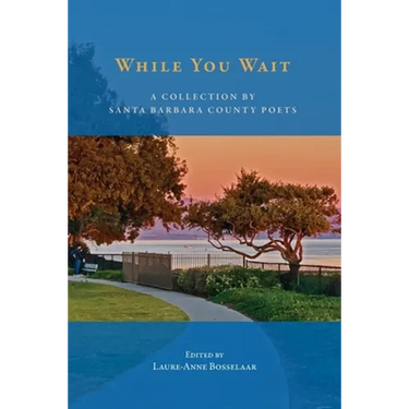 While You Wait