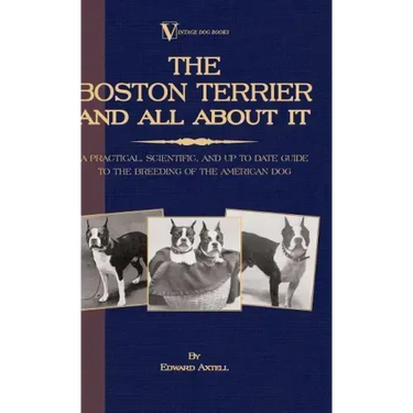 The Boston Terrier And All About It - A Practical, Scientific, And Up To Date Guide To The Breeding Of The American Dog (A Vintage Dog Books Breed Cla