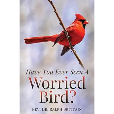 Have You Ever Seen A Worried Bird?