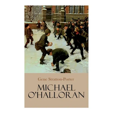 Michael O'Halloran: Children's Adventure Novel