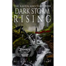 The Raven And The Crow: Dark Storm Rising