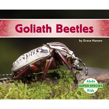 Goliath Beetles